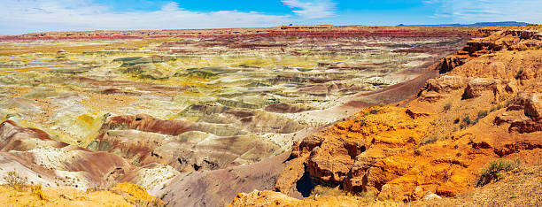 Petrified Forest