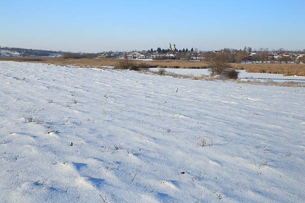 Field and blue sky in winter.