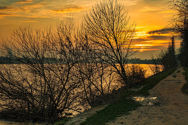Dreamy sunset on the Rhine in Wiesbaden-Biebrich in spring