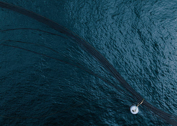 Aerial view of feeding pipes at an offshore salmon farm transporting fish feed from the central feed barge to individual net pens. The image illustrates automated feeding systems, modern aquaculture infrastructure, and efficient marine food production technology.