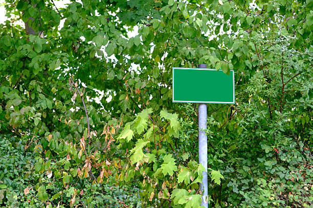 Taplow, Maidenhead, Buckinghamshire, England, UK - October 6th 2022: National Trust Cliveden Estate sign with oak tree logo