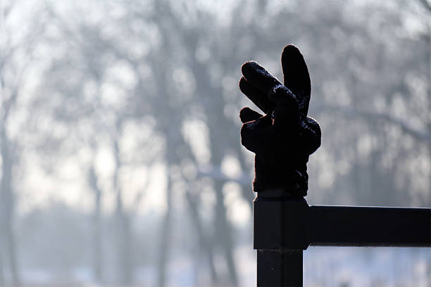 Lost brightly sunlit Glove on a Cold Railing in winter scenery