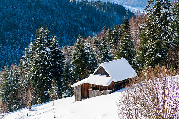 Snowy winter in mountain forest. Wooden houses in snowy mountain forest. Landscape with winter wood. Summer houses in snow-capped Carpathian mountains. Village in mountains in winter