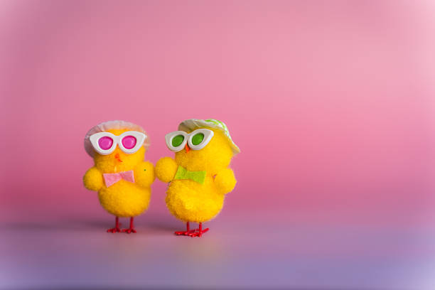 Two stylized fluffy chicks wearing hats, glasses, and bow ties positioned on a pink background. Cheerful, festive, and fun composition perfect for Easter greeting cards and holiday projects with empty space for text or design.
