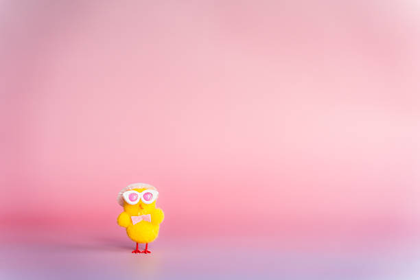 Stylized fluffy chick with glasses, hat, and bow tie standing against a pink background with empty space for text or design. Bright, cheerful, and whimsical composition perfect for Easter greeting cards and festive designs.