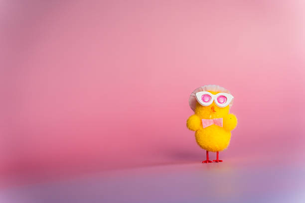 Cute yellow stuffed duck keychain at an outdoor market