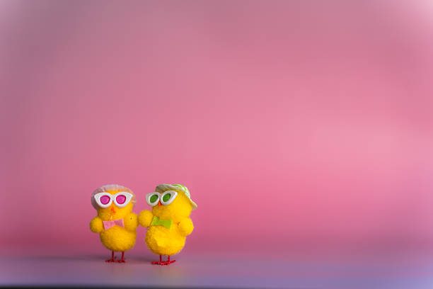 Adorable pair of Easter chicks with hats, glasses, and bow ties on a pink background with empty space for text or design. Bright, playful, and festive design ideal for seasonal illustrations, holiday decorations, and creative projects.