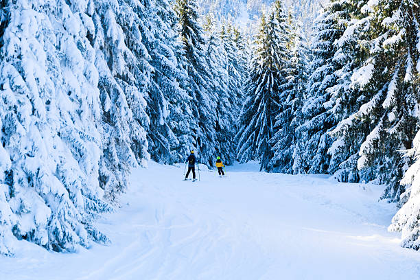 Borsa, Romania - 16.01.2026: Father and son are skiing on a trail. Quality time spent together. Drone view.