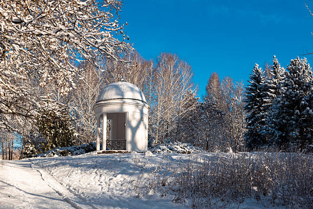 Snow-covered pine forest featuring rustic wooden shelters under a clear blue sky, creating a tranquil and serene atmosphere on a beautiful winter day in nature's untouched landscape