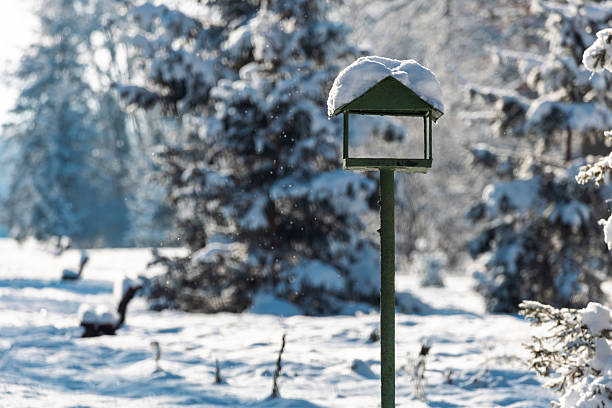 A cozy bird feeder covered in frost and snow in a sunny winter forest. The serene environment and bright light capture a perfect morning in nature, emphasizing the quiet beauty of a snow-covered park.