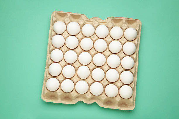 White chicken eggs in the cardboard egg tray with rooms for twenty eggs isolated on white background, with clipping path included