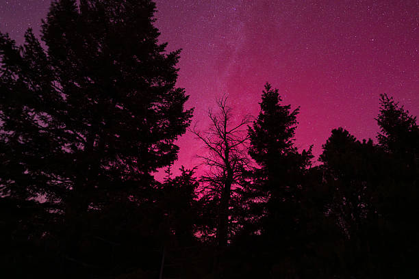 Intense red aurora borealis lights the night sky above dark forest silhouettes and distant hills. Caused by charged solar particles interacting with Earth’s magnetic field, auroral displays create vivid atmospheric color and dramatic nighttime landscapes. This image represents natural phenomena, space weather, cosmic energy, and the beauty of the night sky in a remote, tranquil environment.