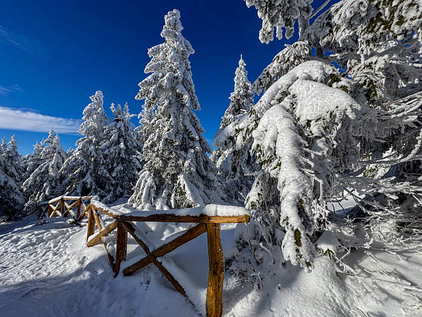 SNOW LANDSCAPESnature is covered in white in winter, lakes, mountains, trees, forests are covered with a white blanket.snow trips, animal husbandry, road, path, transportation difficulty, cold, ice, blizzard,