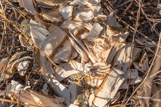 A pile of wood chips on the ground. The wood chips are brown and scattered. The pile is in a field