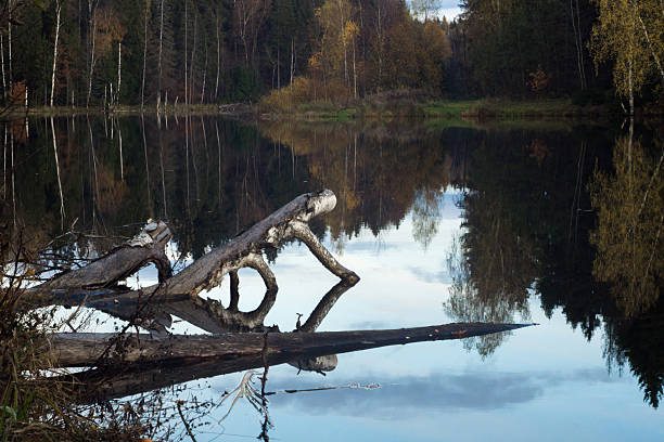 istock lake with wooded shores on an October day 2257277213