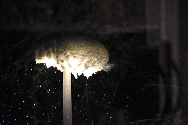 Snow-covered street lamp during a blizzard