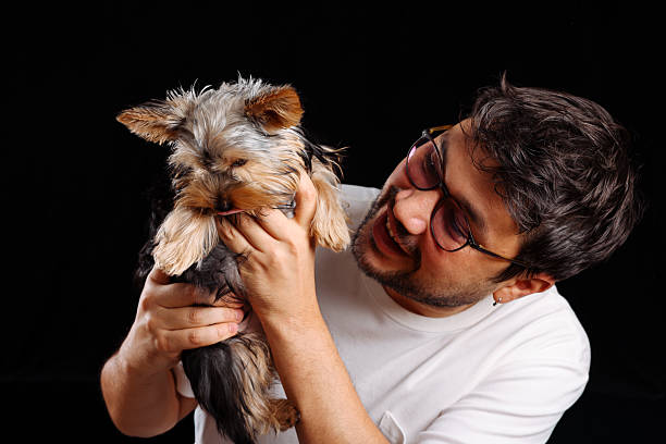 close-up of the little cute dog