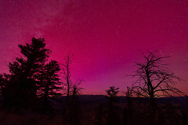 Intense red aurora borealis lights the night sky above dark forest silhouettes and distant hills. Caused by charged solar particles interacting with Earth’s magnetic field, auroral displays create vivid atmospheric color and dramatic nighttime landscapes. This image represents natural phenomena, space weather, cosmic energy, and the beauty of the night sky in a remote, tranquil environment.
