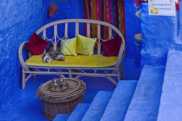Chefchaouen, Morocco-April 1, 2023: Rattan double armchair with seat pad and cushions -cat sleeping on them- in the sunken entryway area of a traditional house in the medina, next to a juice stall.