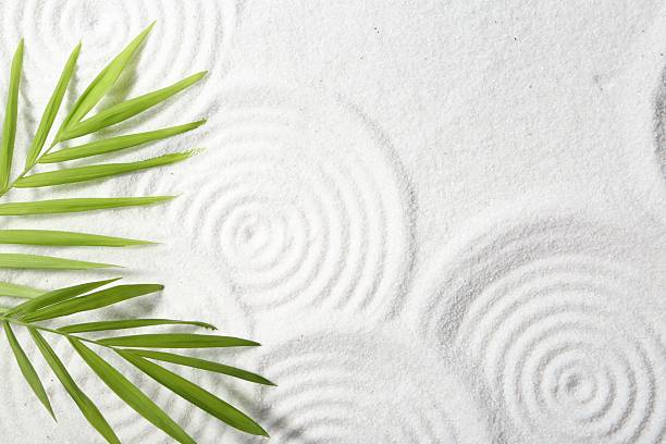 Zen rock garden. Circle patterns and green leaves on white sand, top view