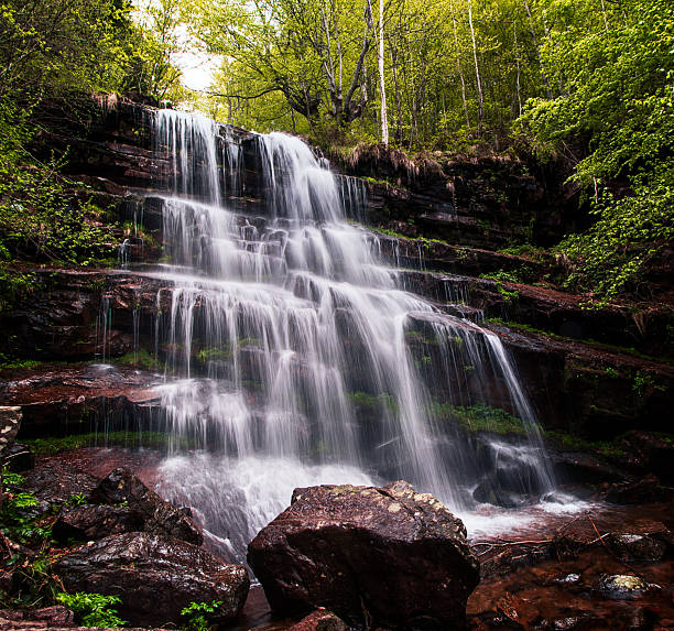 A serene forest stream flowing through dense tropical greenery along the trail to Yana Caves in Karnataka, India. The small cascading waterfall, moss-covered rocks, and filtered sunlight create a peaceful natural scene representing freshness, tranquility, eco-travel, wilderness, and connection with nature.