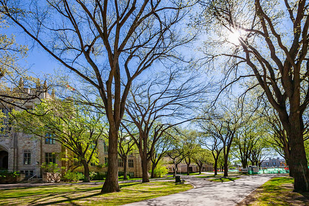 Princeton, USA - May 1, 2021. Students sitting on lawn in the campus of Princeton University, Princeton, New Jersey, USA.