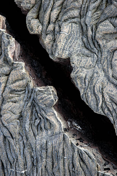 the mesmerising surface of cooled lava, where flowing molten rock has solidified into complex organic shapes that reflect intense heat, geological time