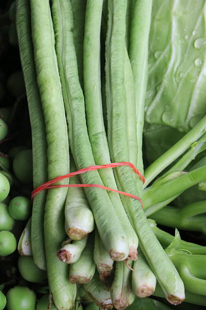 Long beans in the market.
