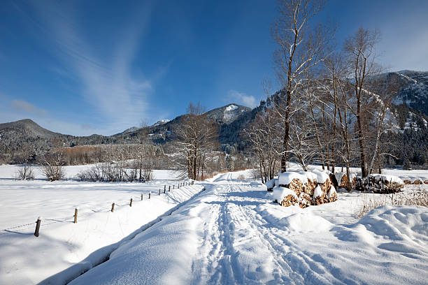 A beautiful winter landscape with road, snowcapped mountains and trees under blue sky in Schwangau, Allgau, Bavaria Germany, European Alps.