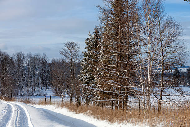 A beautiful winter landscape with road snowcapped mountains and trees under blue sky in European Alps.