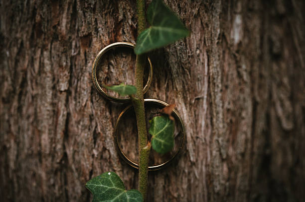 Two wedding rings on a natural background