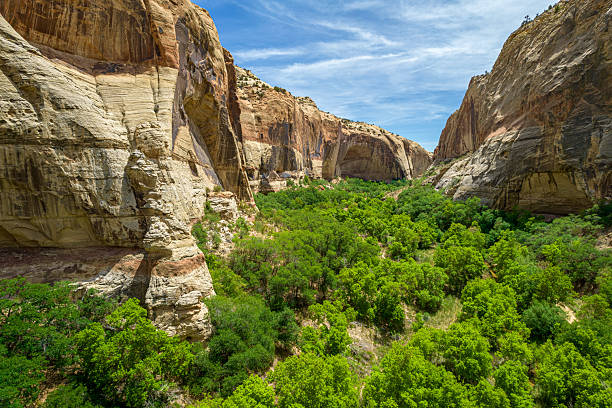 Red Rock Canyon Landscape at Sunset - Warm tones from sunset afterglow illuminating majestic red rock canyon walls. Scenic view with interesting geology.