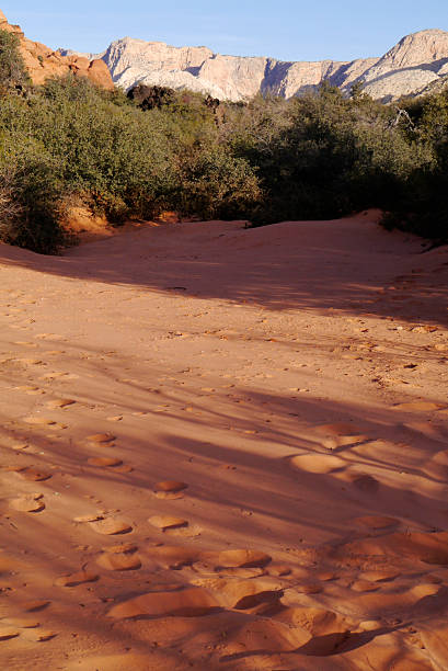 A walk through Snow Canyon State Park includes a sandy beach - despite being three states away from the coast. St. George Utah, 2014