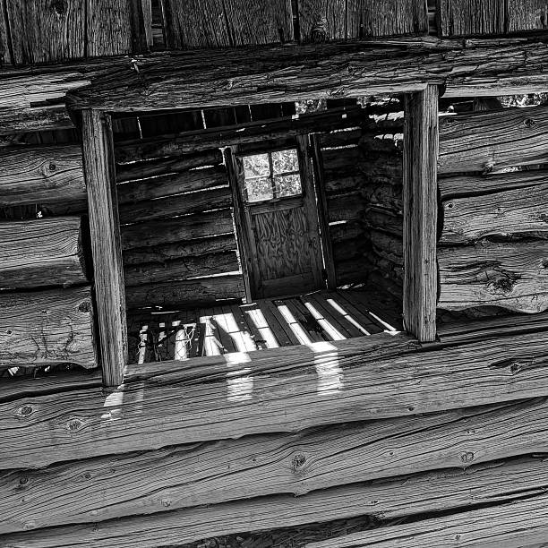 Peering into, and out of, an old one-room coniferous log cabin. Bryce Canyon, Utah 2022. Black and White.