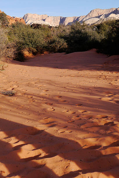 A walk through Snow Canyon State Park includes a sandy beach - despite being three states away from the coast. St. George Utah, 2014