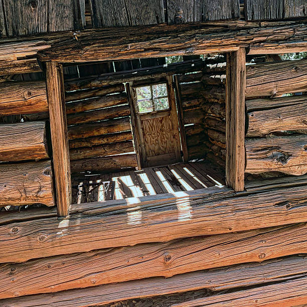 Peering into, and out of, an old one-room coniferous log cabin. Bryce Canyon, Utah 2022