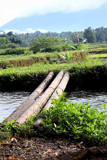 A small bridge made of bamboo over the river in East Java, Indonesia.