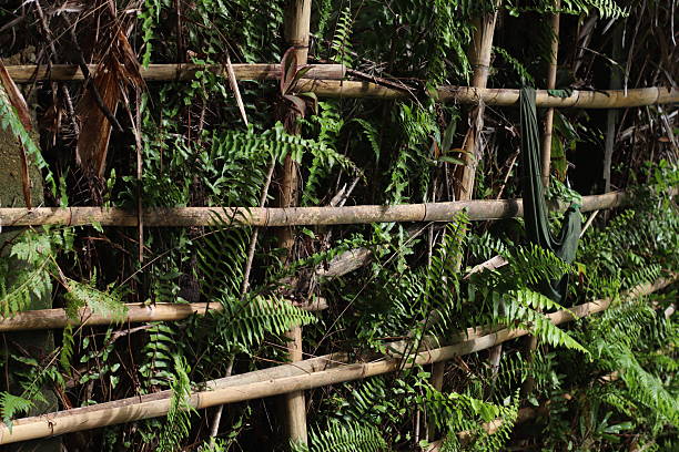 A bamboo fence is a sustainable, durable, and eco-friendly alternative to traditional fencing, often used to create natural, aesthetic privacy screens or decorative boundaries.