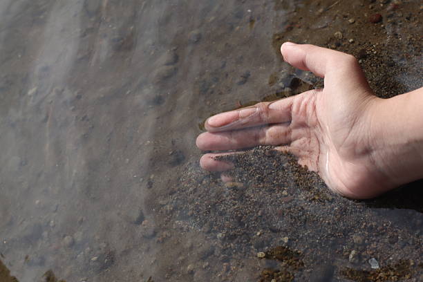 Human hands photo theme.
