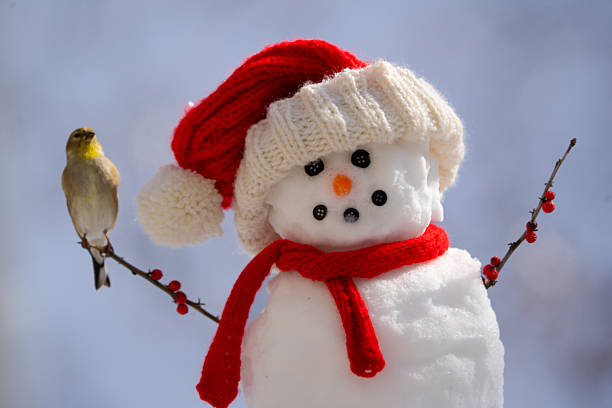 American goldfinch in a snowy outdoor setting perched on a snowman. Winter, nature seasonal theme.