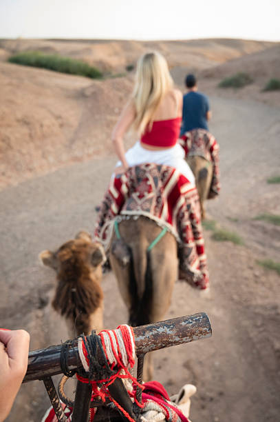 Camel Trek Viewpoint in Agafay Desert with Tourists Ahead in Agafay, Marrakesh-Safi, Morocco