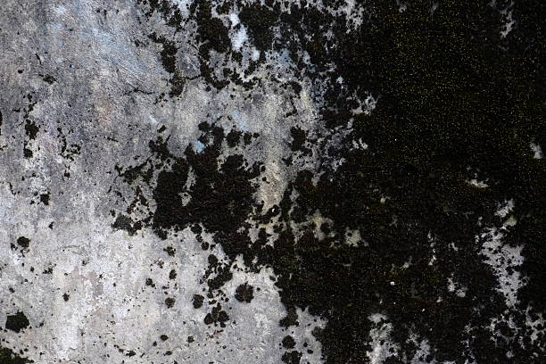 Weathered and cracked concrete wall, displaying age and texture background