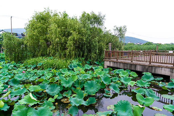 Stone  bridge through the lake in the park