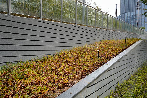 Modern Urban Greenery with Curved Concrete Planters and Layered Landscaping