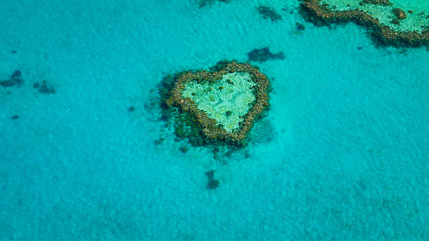 The stunning Heart Reef in the Great Barrier Reef of Australia as seen from a water plane