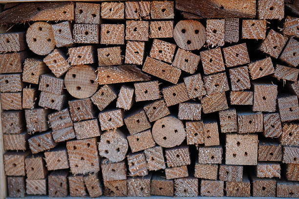 A close - up of stacked wooden logs with cut ends, showcasing a natural wood texture background. The logs have varying sizes and a rustic appearance, suitable for design or background purposes.
