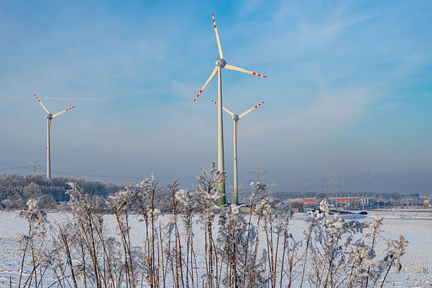 beautiful snow landscape in the Harz mountains with blue sky and trees and wind generator