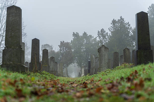 low angle view of path with grass between old graves on cemetery on cold foggy winter day, shallow focus on background, foreground blurred