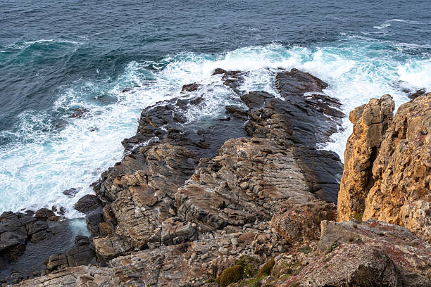 Seals bask on rugged rocks at Cape Du Couedic in Flinders Chase National Park, Kangaroo Island, Australia. The rocky coastline and crashing waves create a dramatic marine habitat for these animals