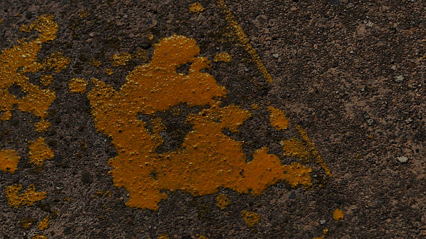 Grungy top-down view dark weathered cement featuring heavy yellow paint stains and rough aggregate texture. Ideal for industrial urban or distressed background designs